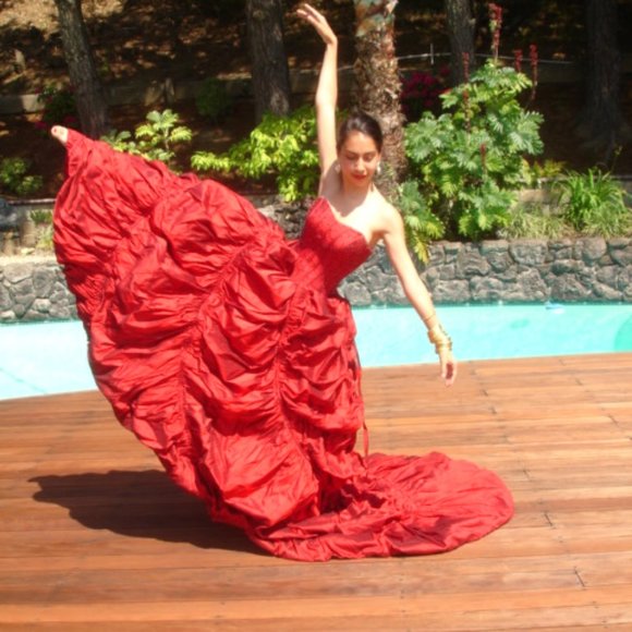 JUSTIN ALEXANDER RED CARPET GOWN SIZE 4 - Picture 2 of 15